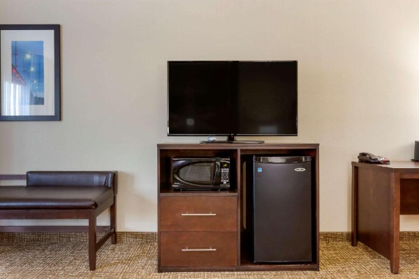 Comfort Suites Little Rock image 10