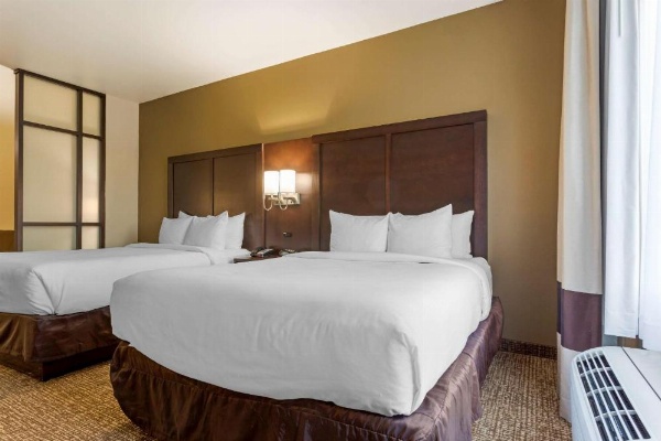 Comfort Suites Little Rock image 13