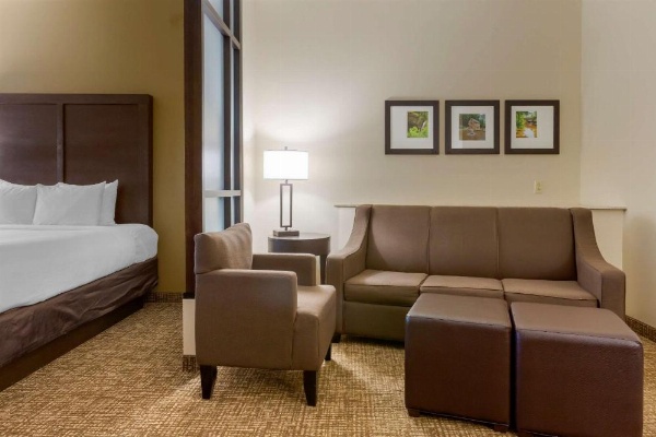 Comfort Suites Little Rock image 16