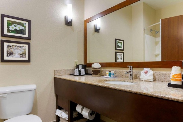 Comfort Suites Little Rock image 19