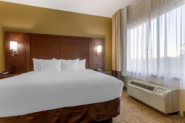 Comfort Suites Little Rock image 7