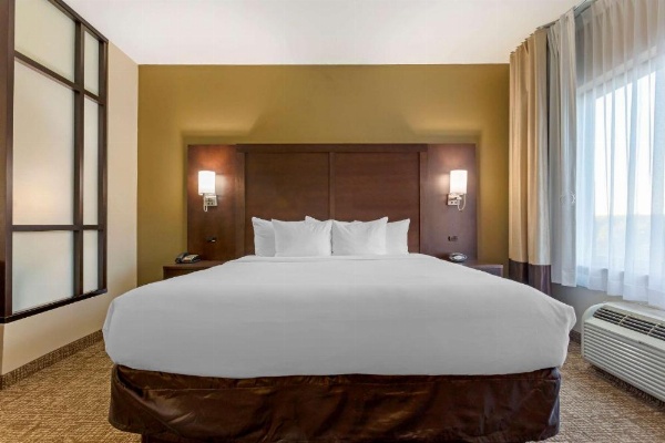 Comfort Suites Little Rock image 8